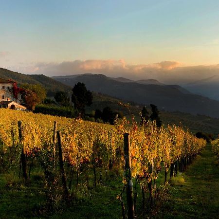 Agriturismo Fattoria Lavacchio Pontassieve Eksteriør bilde
