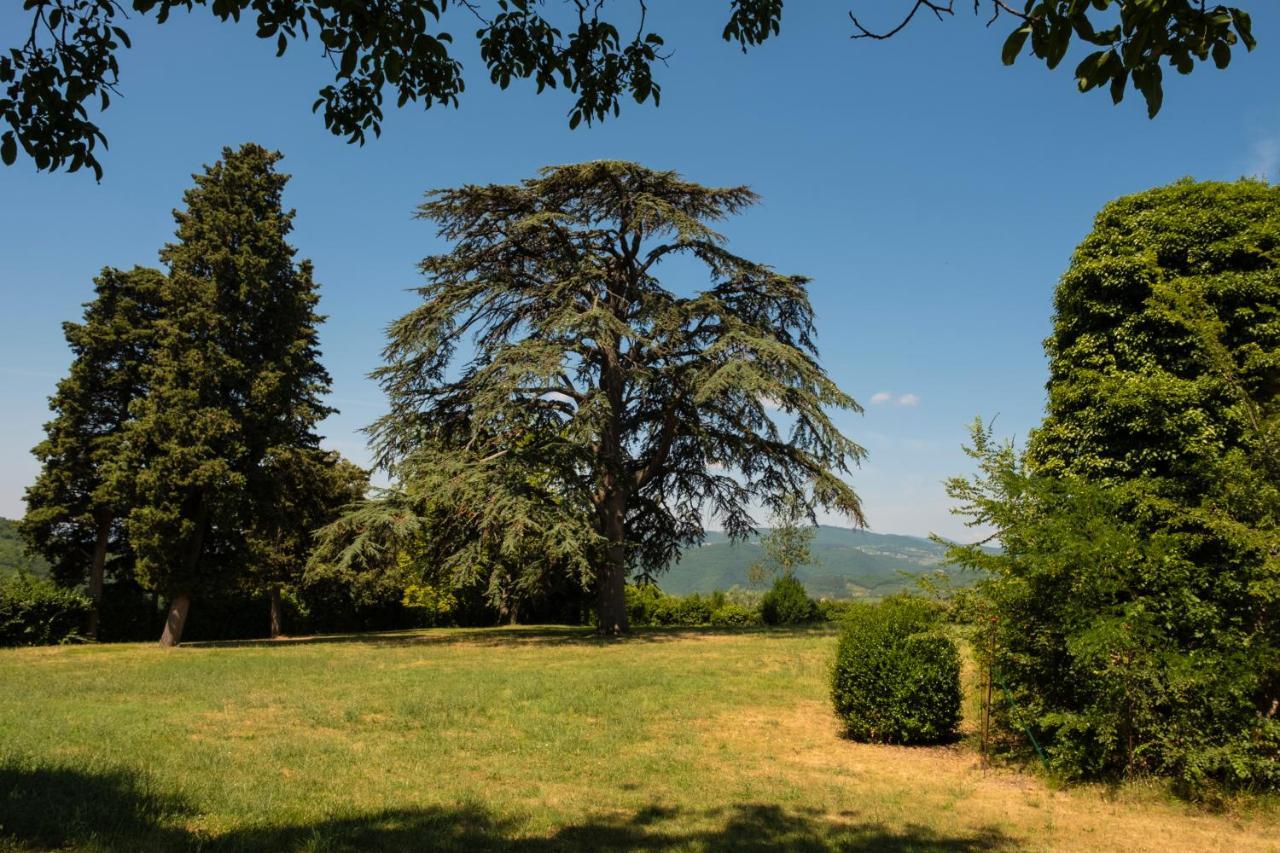 Agriturismo Fattoria Lavacchio Pontassieve Eksteriør bilde