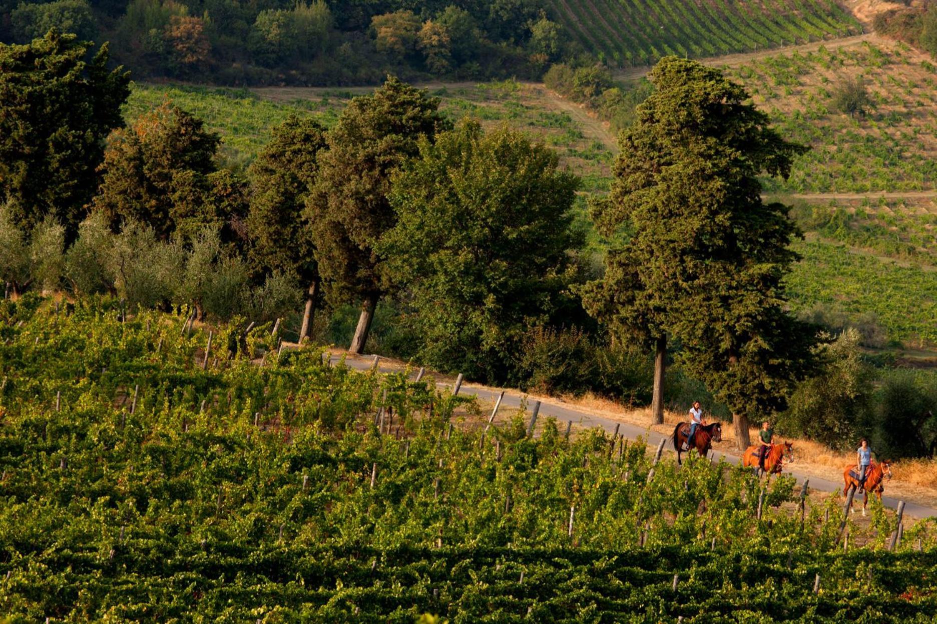 Agriturismo Fattoria Lavacchio Pontassieve Eksteriør bilde