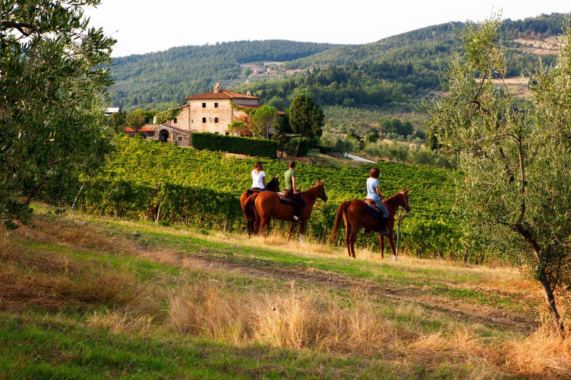 Agriturismo Fattoria Lavacchio Pontassieve Eksteriør bilde