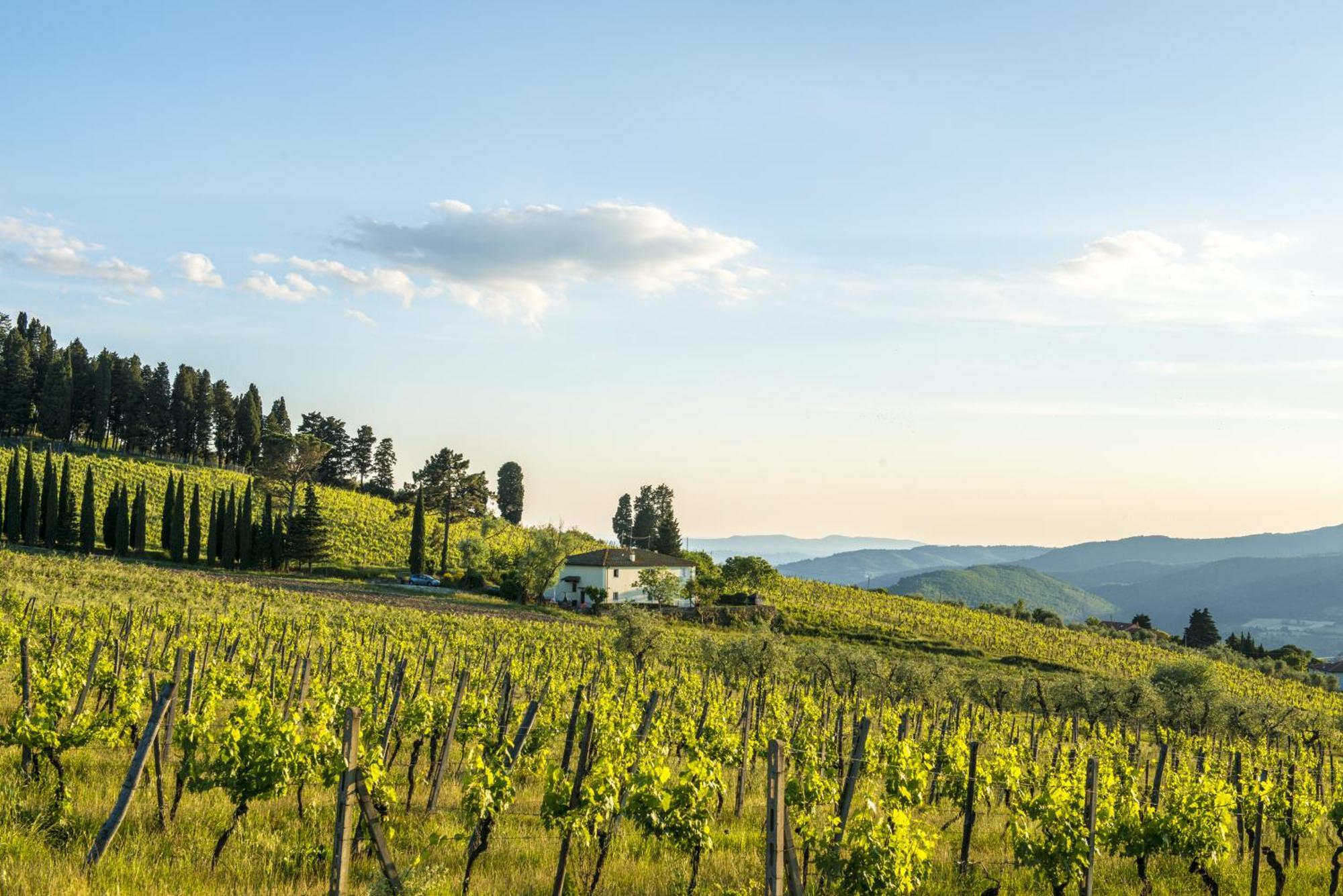 Agriturismo Fattoria Lavacchio Pontassieve Rom bilde