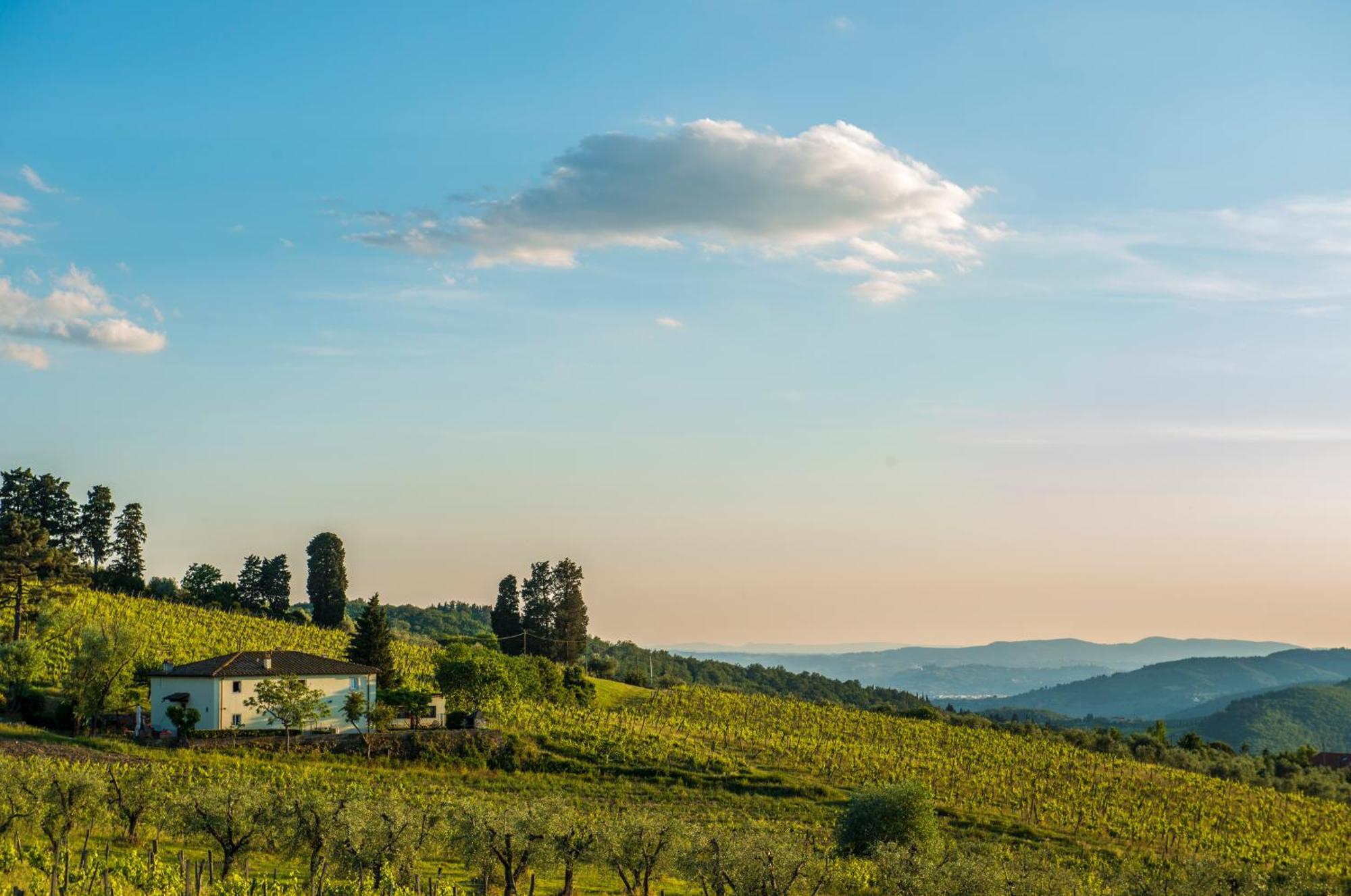 Agriturismo Fattoria Lavacchio Pontassieve Rom bilde