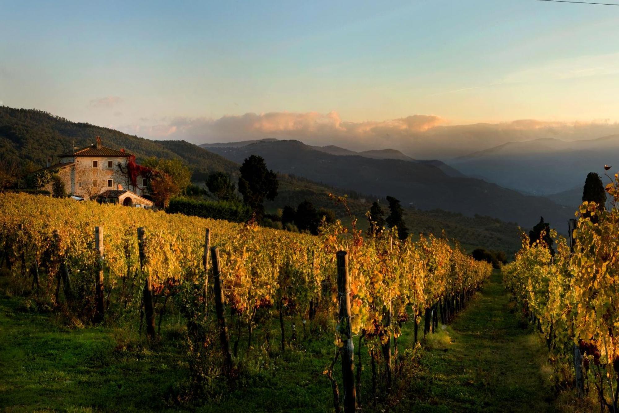 Agriturismo Fattoria Lavacchio Pontassieve Eksteriør bilde